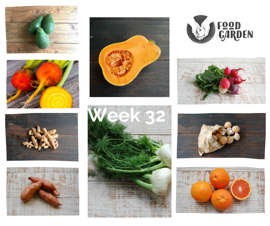 Week 32 - Celery, Parsnip, Celeriac, Eggplant and Capsicum