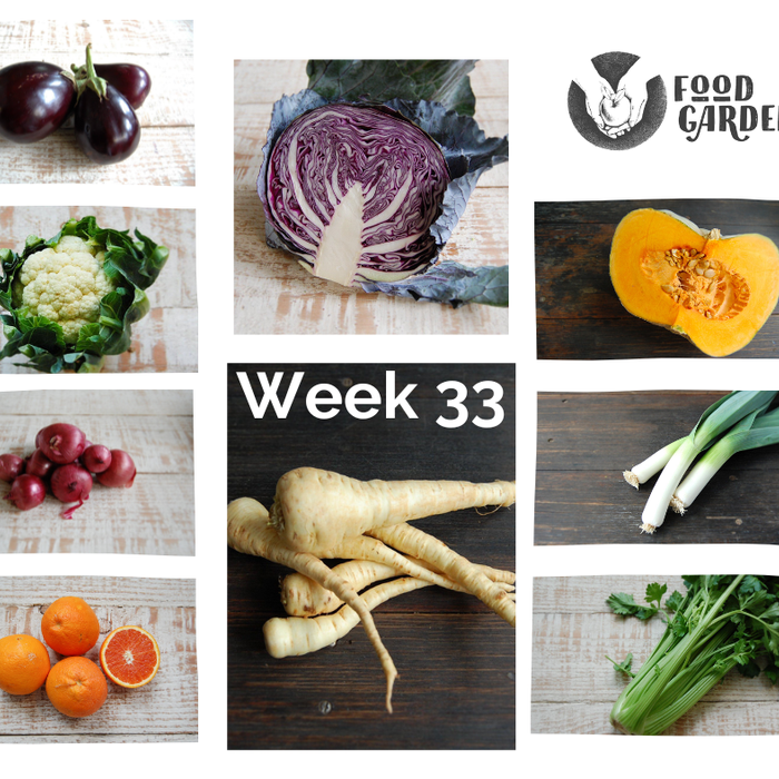 Week 33 - Cauliflower, Broccoli, Cabbage, Kale, Leek, Fennel & Beetroot