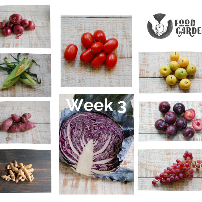 Week 3 - Kipfler Potato, Red Onion, Baby Cos, Nashi Pears, Blood Plum and Flame Seedless Grapes