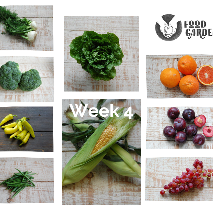 Week 4 - Beans, Broccoli, Sweet Corn, Baby Cos, Fennel, Roma Tomato, Zucchini, and Precoce Pears