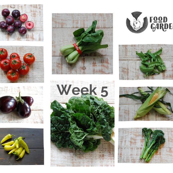 Week 5 - Black Amber Plums, Bullhorn Capsicum, Baby Broccoli, Pak Choy, Silverbeet, Eggplant and Sweet Corn