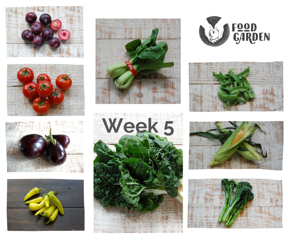 Week 5 - Black Amber Plums, Bullhorn Capsicum, Baby Broccoli, Pak Choy, Silverbeet, Eggplant and Sweet Corn