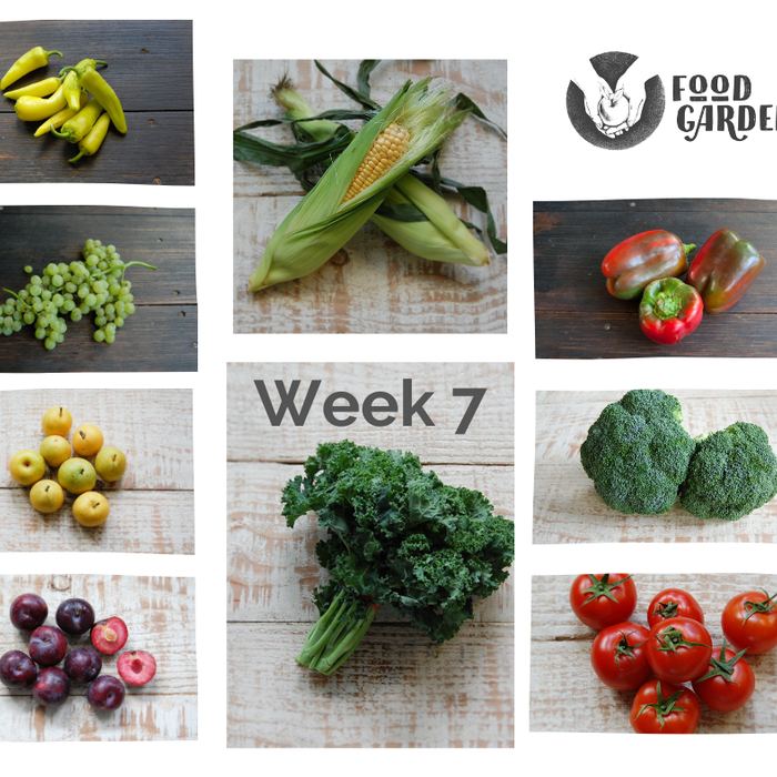 Week 7 - Green Beans, Yellow Bullhorn Capsicum, Curly Kale, Broccoli & Sweet Corn Value and local Dutch Cream Potato