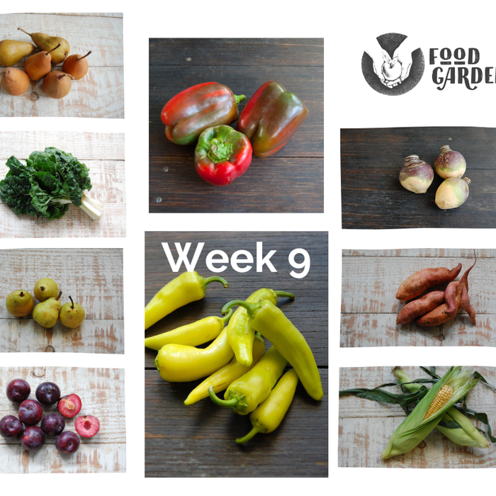 Week 9 - Red Capsicum, Bullhorns, Baby Sweet Potato, Jap Pumpkin, Sweet Corn, Swede and Silverbeet