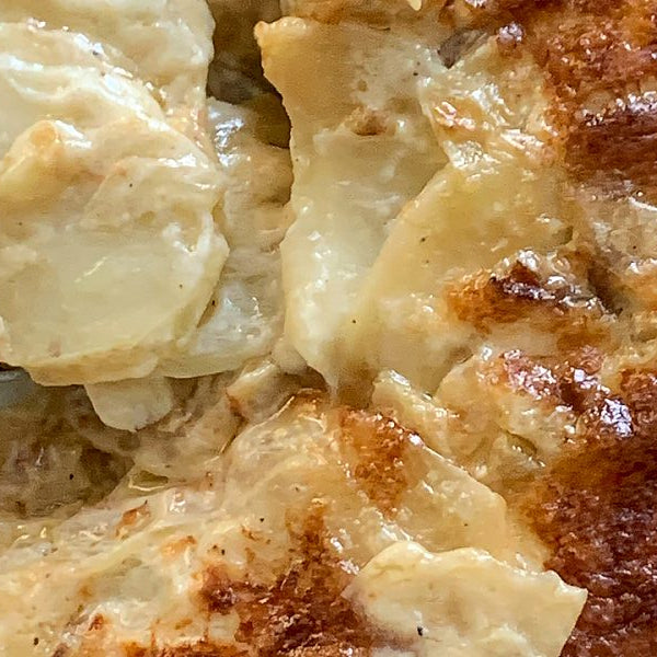 Potato-Fennel Gratin