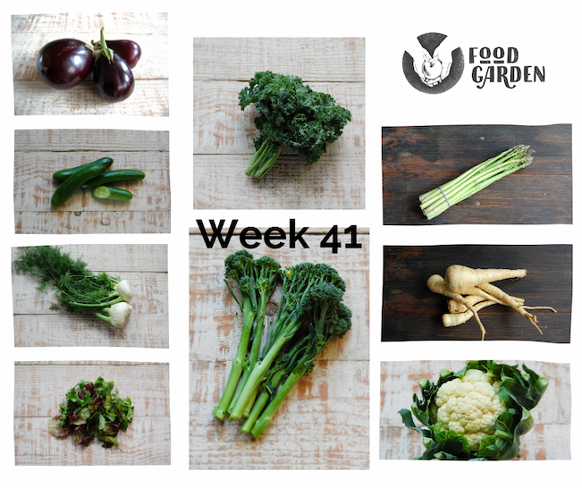 Week 41 - Broccolini, Beans, Curly Kale, Fennel, Radish, Lettuce, Cucumber, Eggplant and Corella Pears