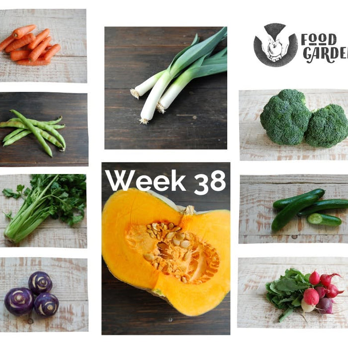 Week 38 - Pumpkin, Celery, Fennel, Mushrooms and Capsicum