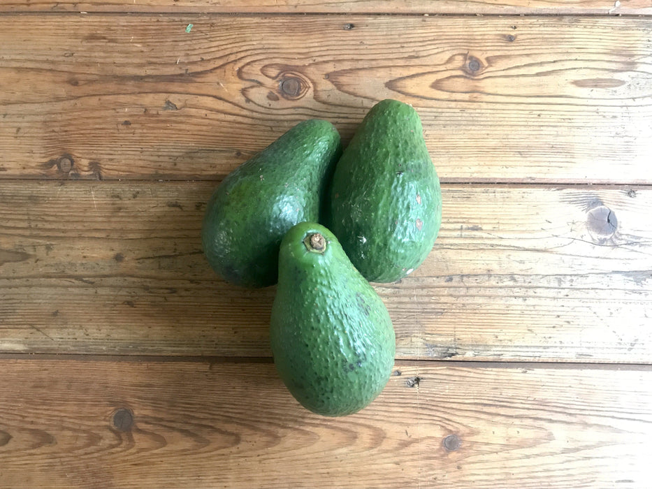 Avocado, Shephard (for 3)