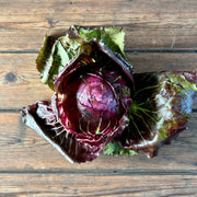 Lettuce, Raddichio (each)