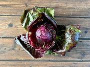 Lettuce, Raddichio (each)