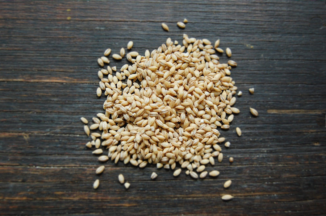 Pearled Barley biodynamic (500g)