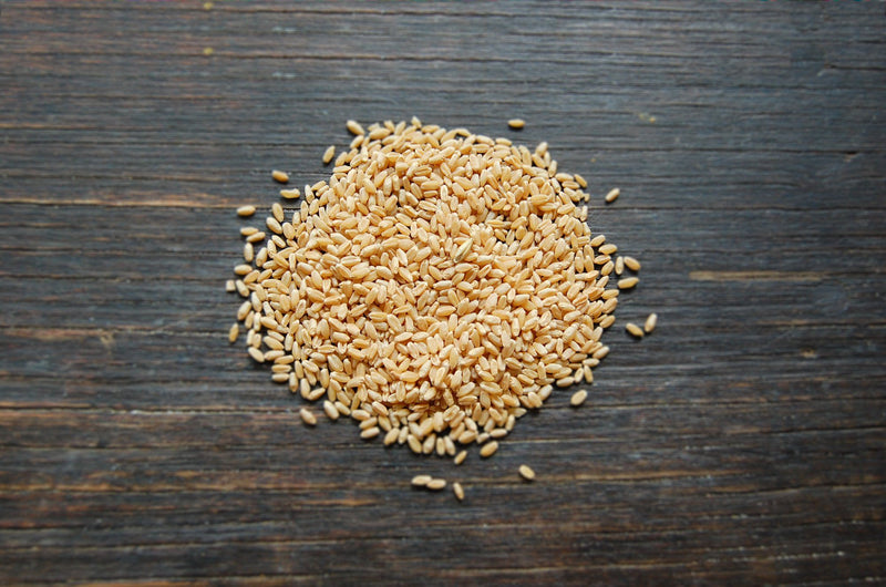 Wheat Grain biodynamic (1 kg)