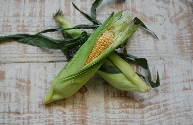 Sweet Corn (each)