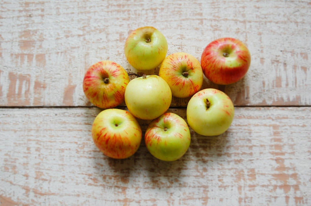 Apple, Gravenstein tart (600g)