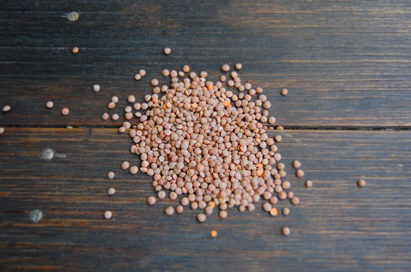 Red Lentils Whole biodynamic (500g)