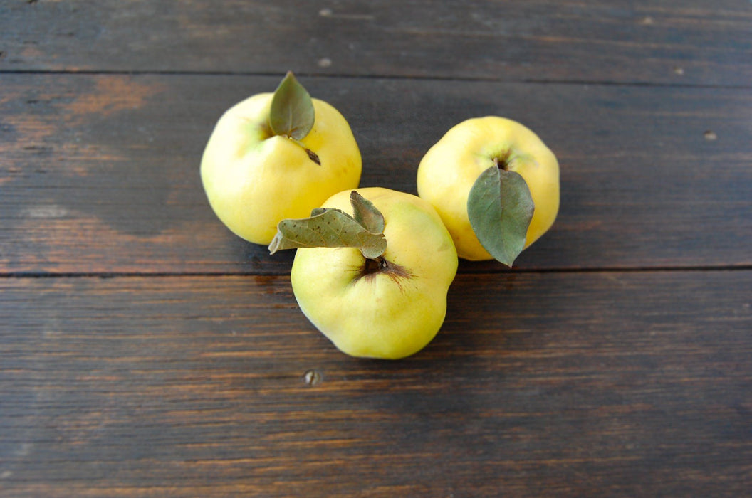 Quince biodynamic (large)