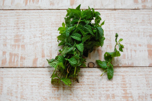 Mint bunch, organic fragrant green-leafed fresh herb | Food Garden