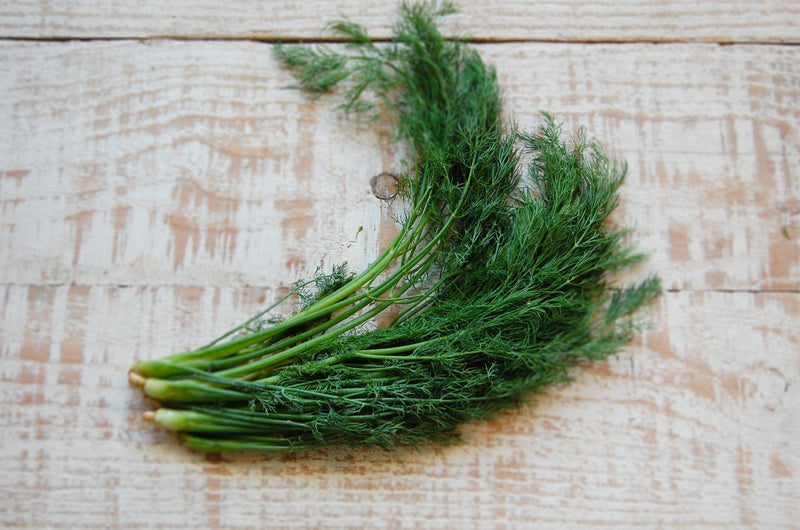 Herbs, Dill (bunch)
