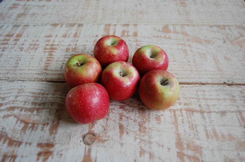 Sundowner apples, 600g – firm fresh late-season eating apples | Food Garden