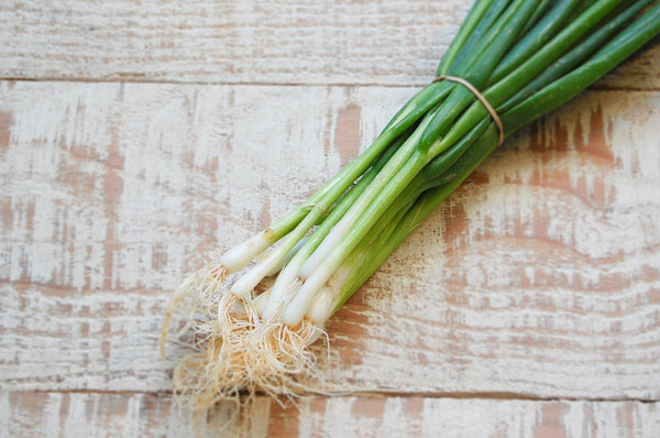 Spring Onion