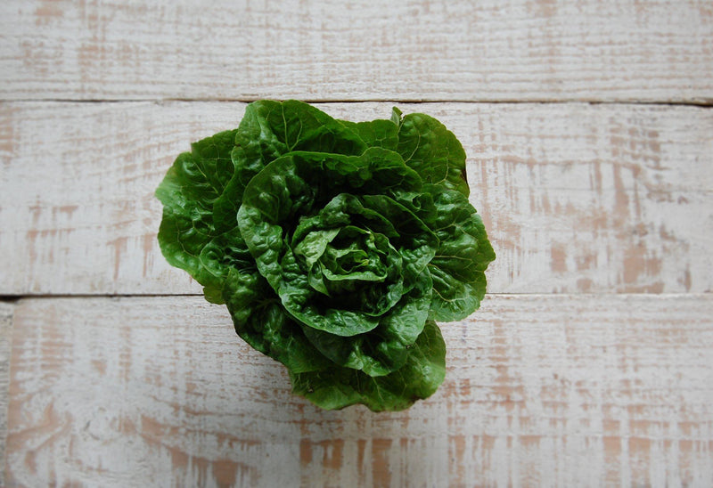 Baby cos lettuce each, organic compact pale-green head – Food Garden delivery