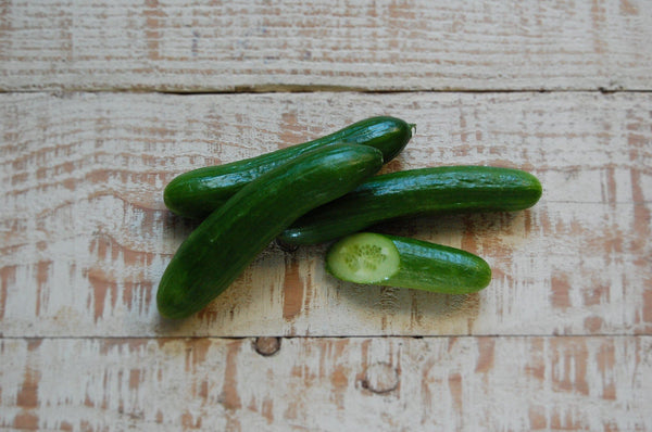 Cucumber, Lebanese