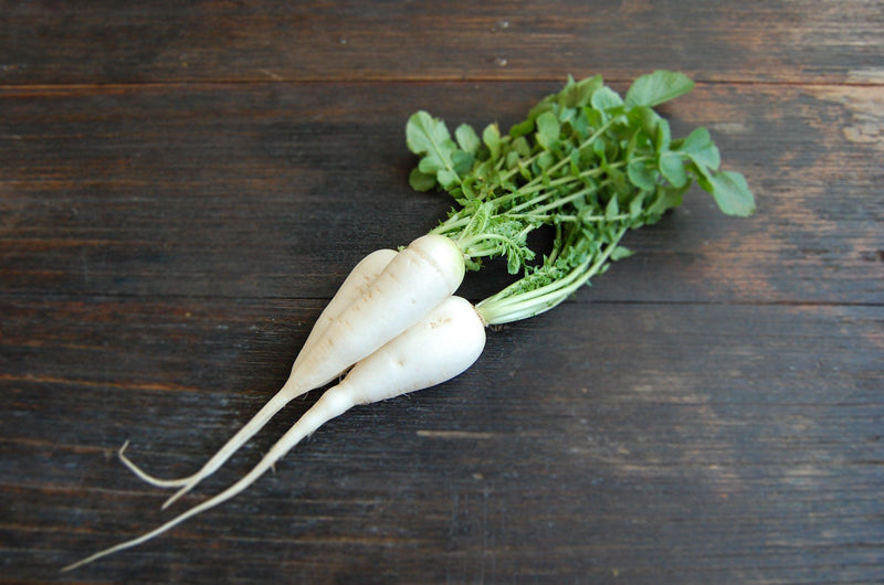 Daikon Radish (bunch)