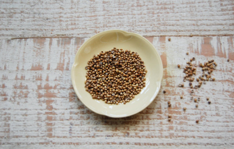 Coriander Seeds (50g)
