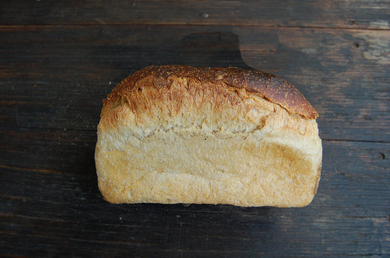 Sprout Hightop White Sandwich