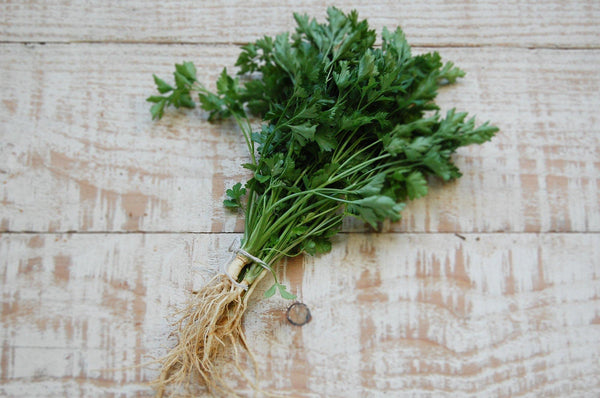 Herbs, Parsley