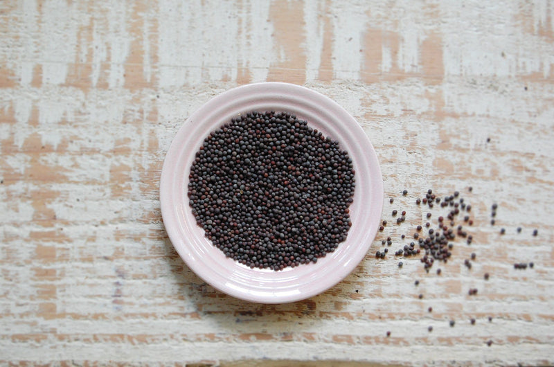 Mustard Seeds Brown (100g)
