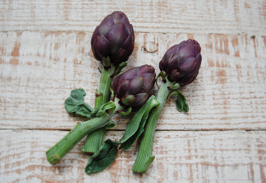 Artichoke, Purple (for 2)