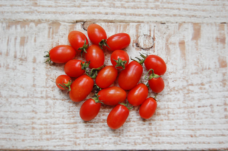 Roma cherry tomatoes, organic small oval red seasonal tomatoes on vine | Food Garden