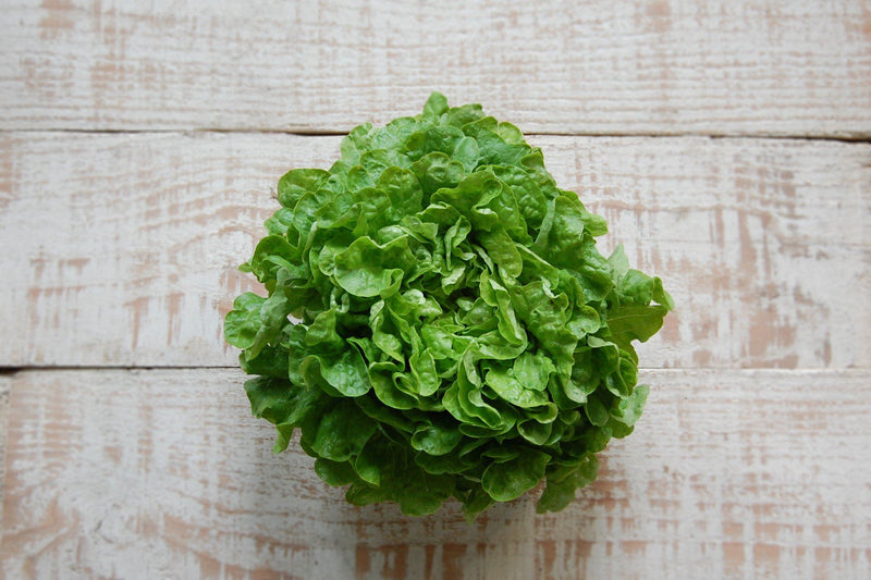 Fancy lettuce mix of red and green organic leaves, seasonal variety | Food Garden