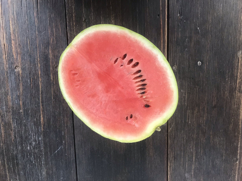 Seedless Mini Lee watermelon, per kilogram – fresh seasonal sweet melon | Food Garden