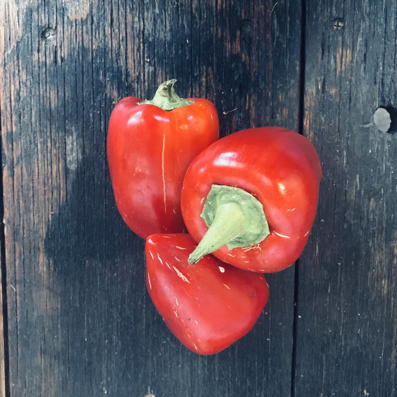 Pimento capsicum 250g, small sweet organic red pepper variety | Food Garden
